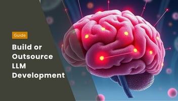 LLM Development: Build In-House or Hire Offshore Developers?