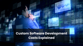 How Much Does Custom Software Development Cost?