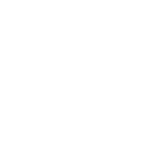 Delivering Intelligent Solutions Since 2009-1