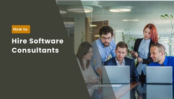 How to Find and Hire the Right Software Consultants for Your Business