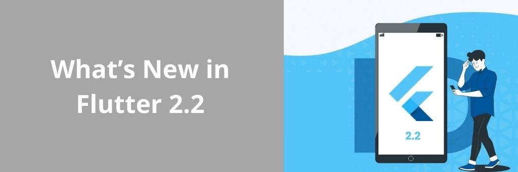 Flutter 2.2 Developer