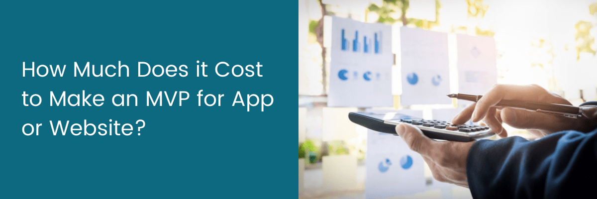 How Much Does it Cost to Make an MVP for App or Website?