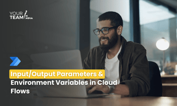 Input/Output Parameters  and Environment Variables in Cloud flows