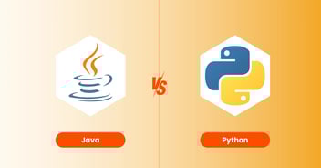 Java vs Python: Which One to Choose for Your Business Application