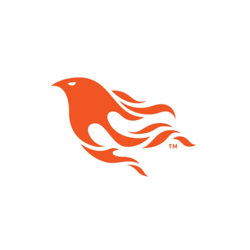 Phoenix (Elixir)_YourTeaminIndia
