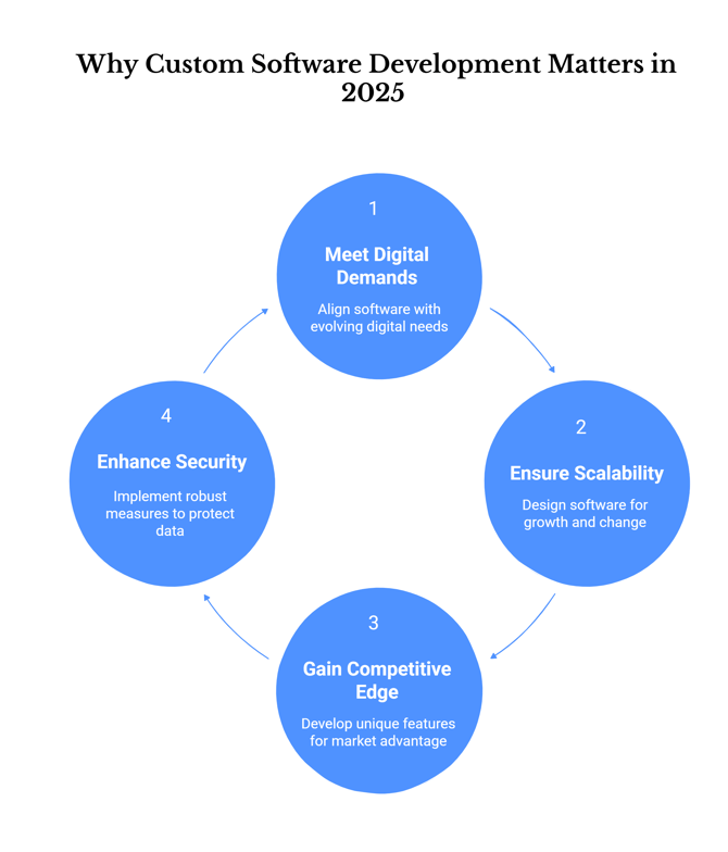 Why Custom Software Development Matters in 2025 - yourteaminindia-1