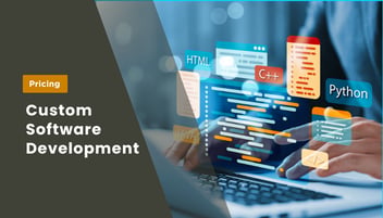 How Much Does Custom Software Development Cost?