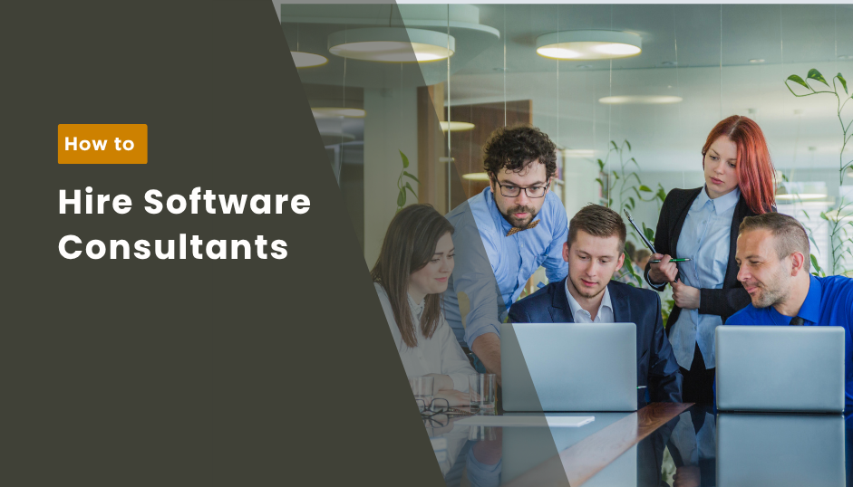 Hire Software Consultants