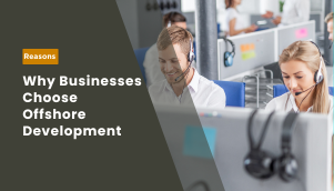 Why Businesses Choose Offshore Development 